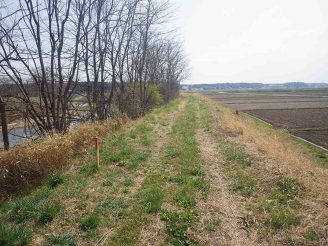 河川改良工事（堤防補強）谷田川筋の施工前写真