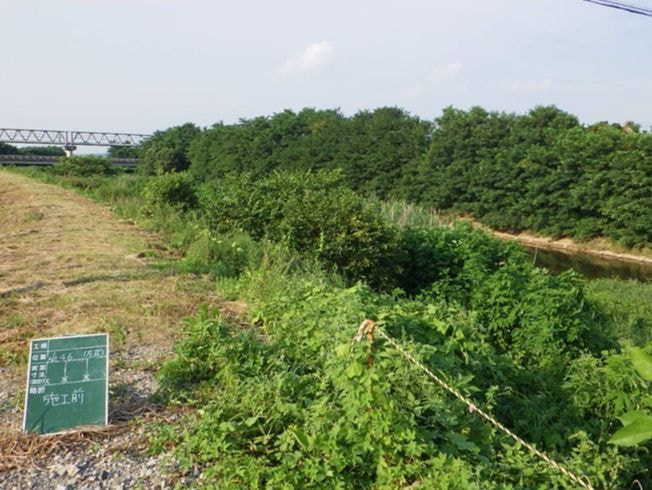 河川工事（河道掘削）谷田川筋の施工前写真