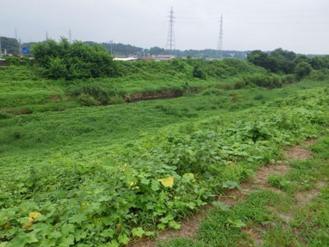 河川工事（河道掘削）谷田川筋の施工前写真