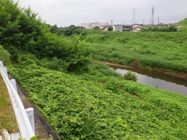 河川工事（河道掘削）谷田川筋の施工前写真