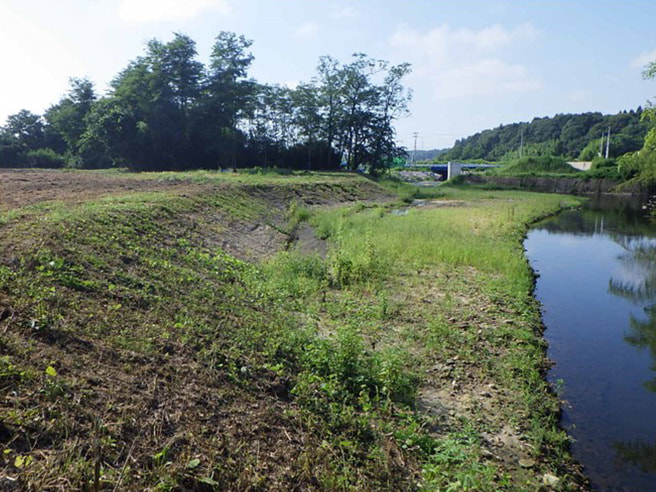 河川工事（河道掘削）谷田川筋の施工前写真